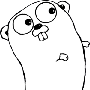Write Your First Golang Program
